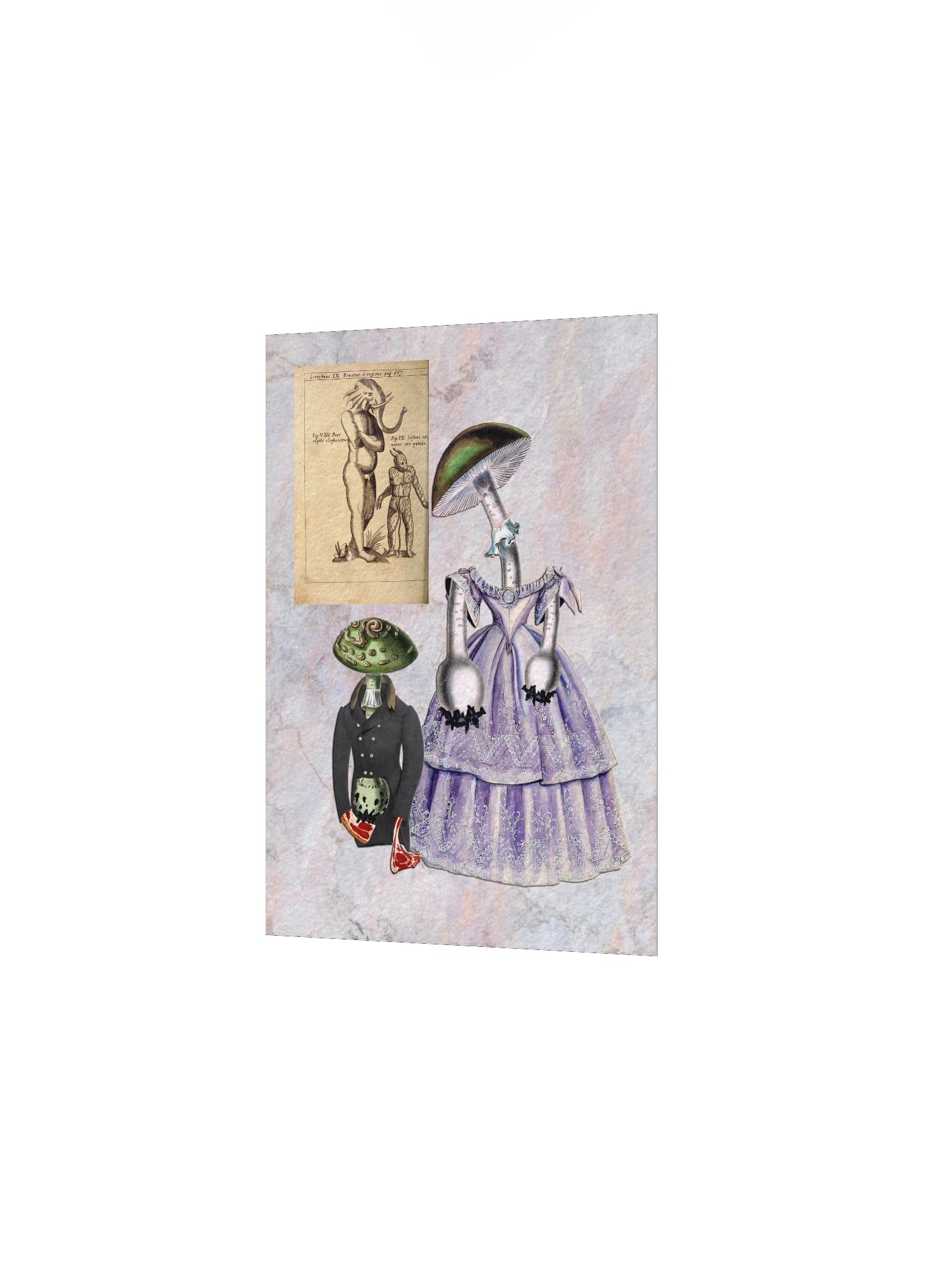 The Shrooms product image (3)