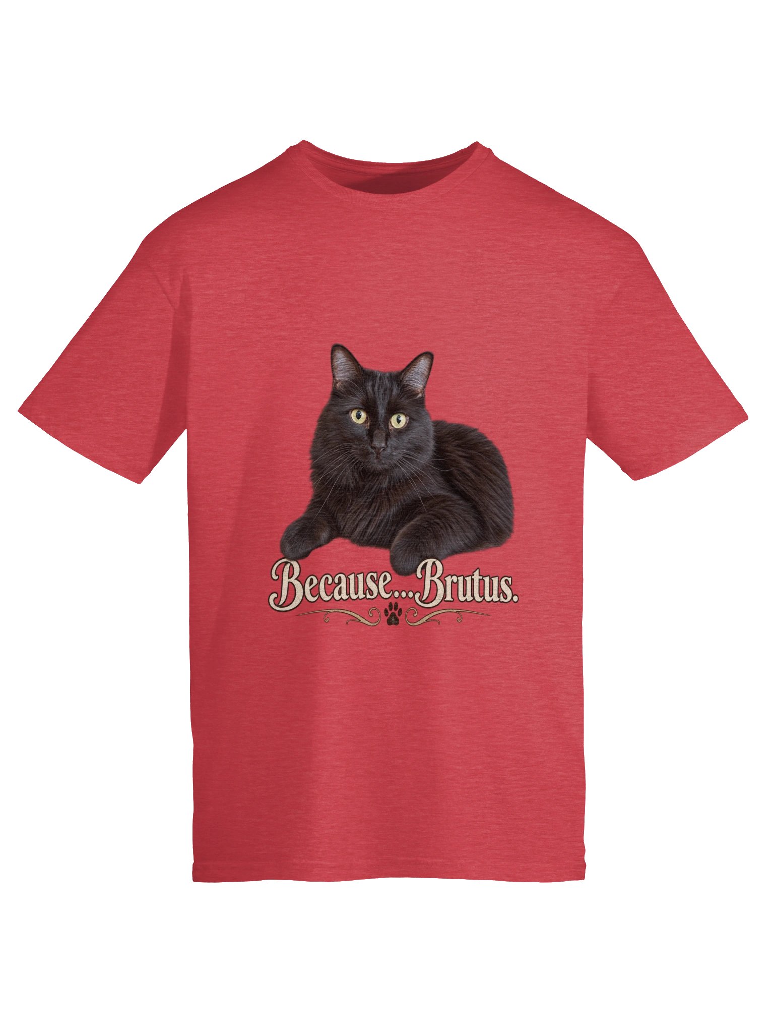 Because...Brutus Classic T-Shirt product image (5)