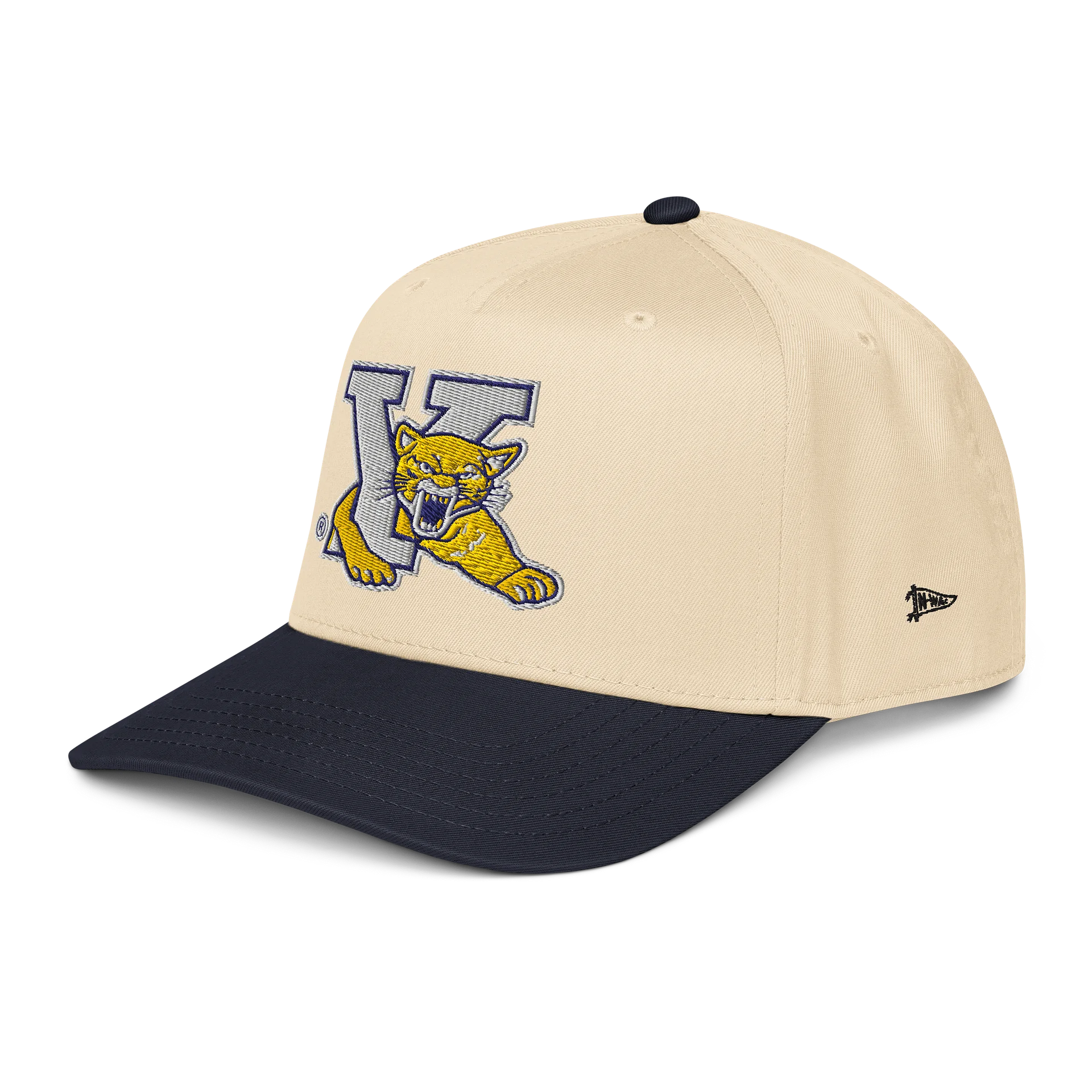 Young Collegiate Mountain Lion Cap product image (3)