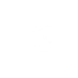 DEFAC3D