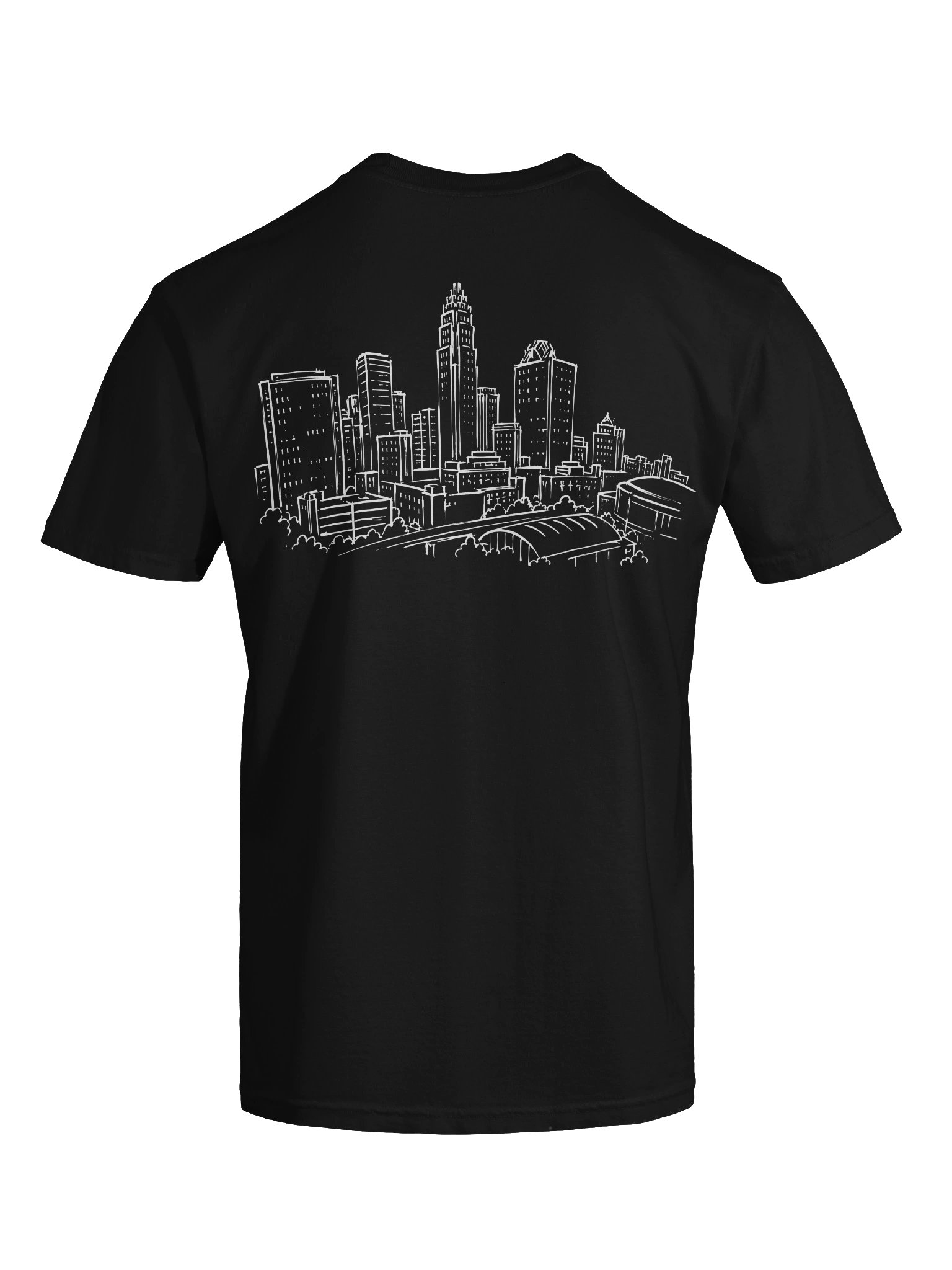CAROLINA'S BEST HOMES. CAROLINA'S BEST AGENTS TSHIRT product image (11)
