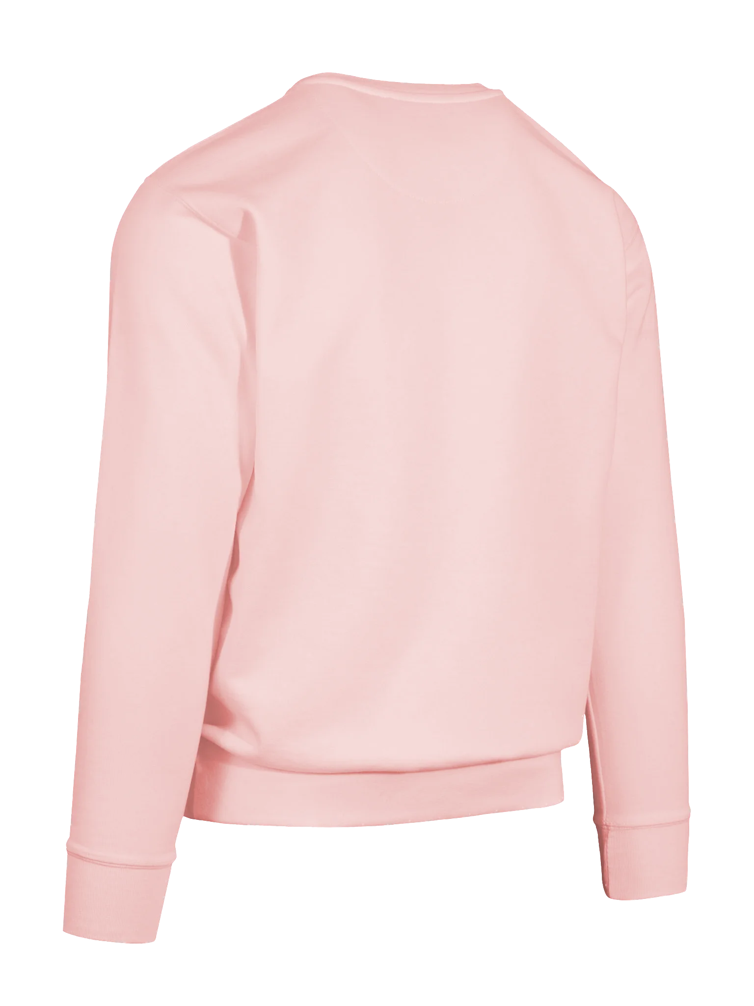 The Flamingo Heritage Sweatshirt 🦩 product image (140)