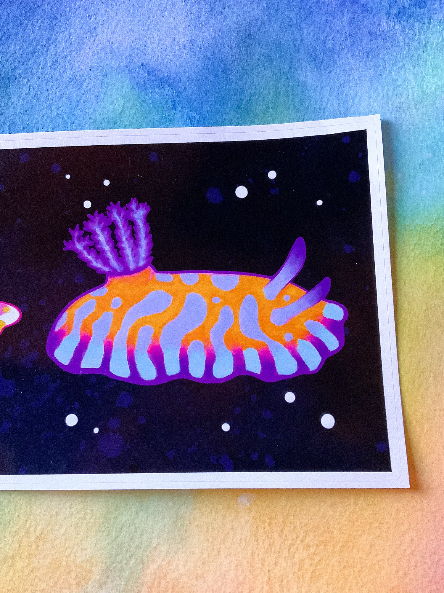 Sea Slugs: Set 1 - 15" Sticker product image (4)