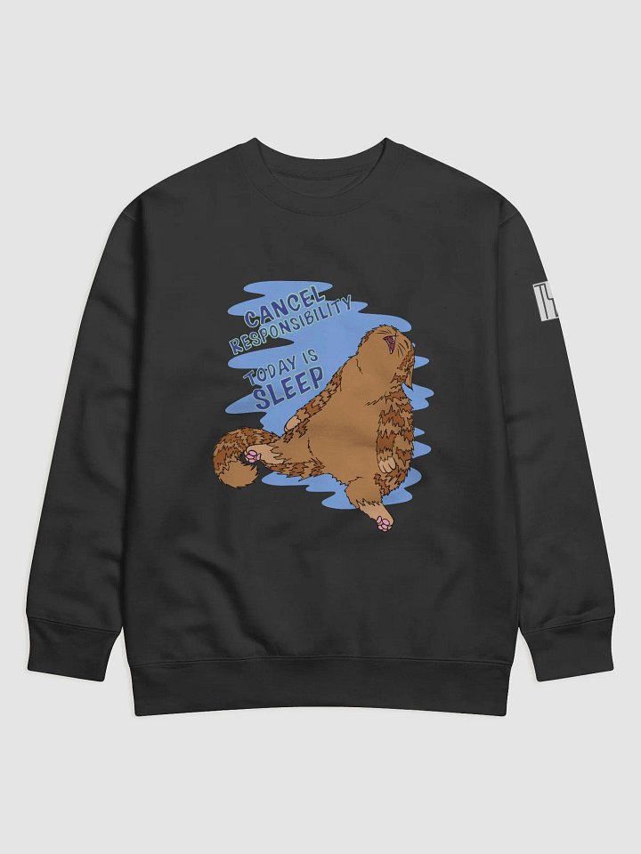 Cancel responsibility Today is sleep Sweater product image (2)