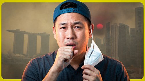 Who Is Really Responsible for the Haze?
The haze is back in Singapore and Malaysia.
Indonesia’s forest and peat fires drive t...