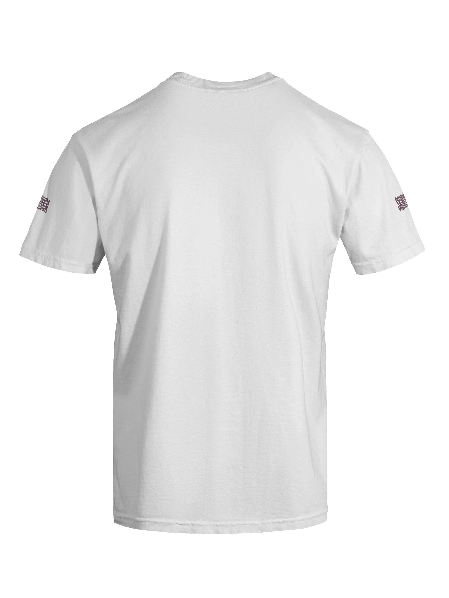 Premium Short Sleeve T-Shirt product image (9)