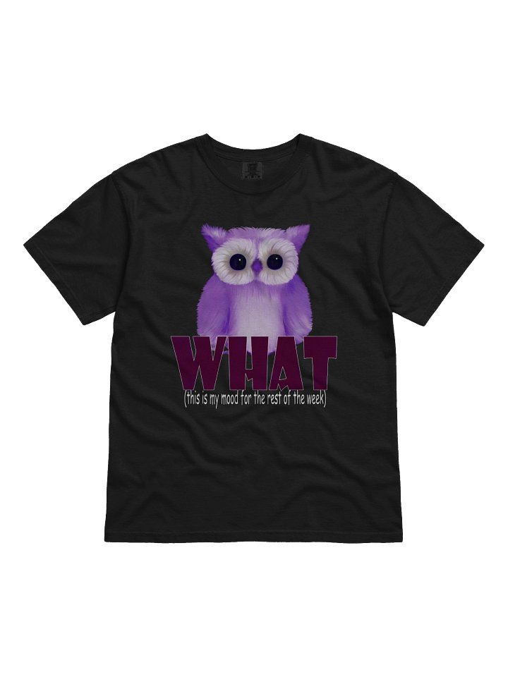Men's Comfort Colors Garment-Dyed Heavyweight T-Shirt product image (1)