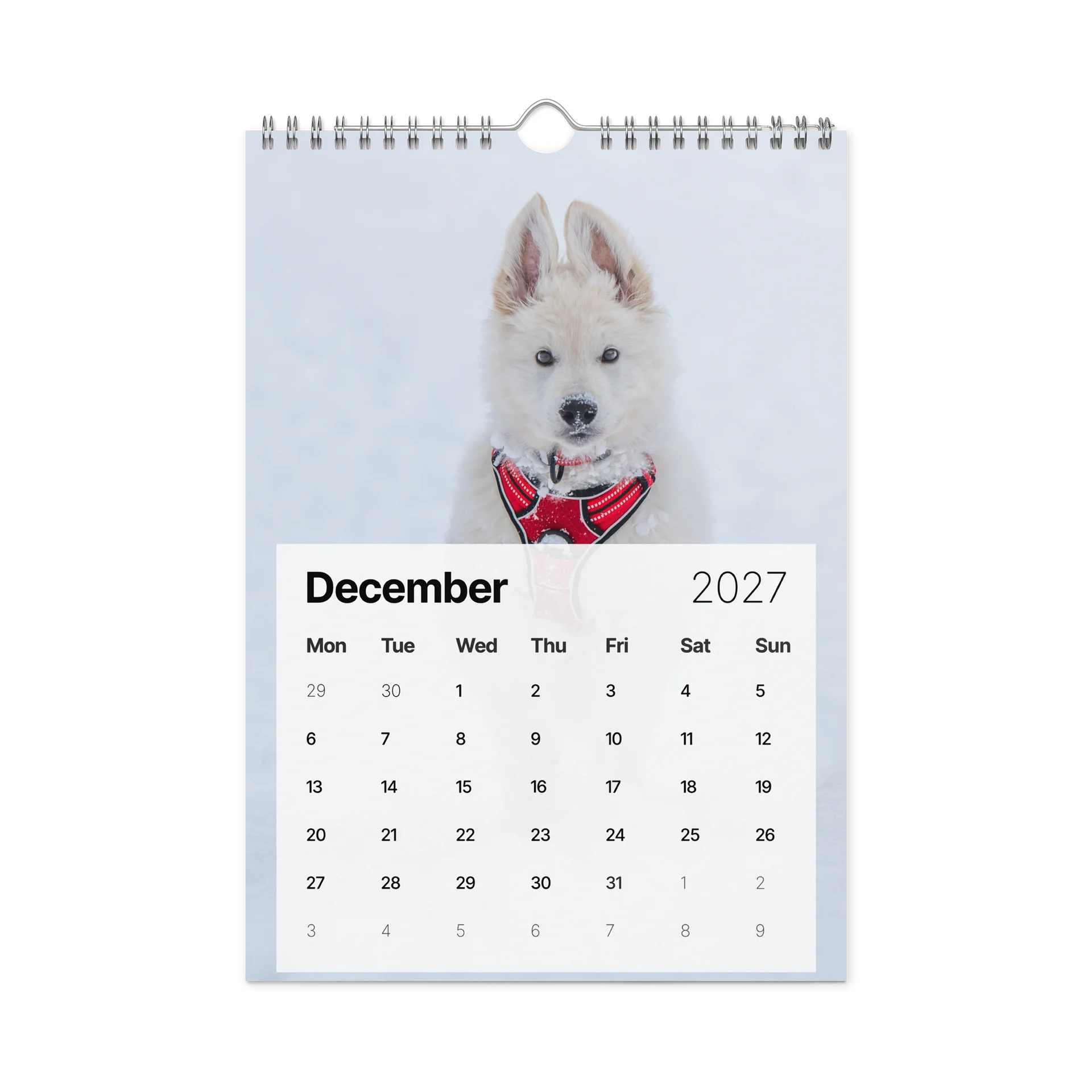 Lil Rasta Calendar 2027 product image (4)