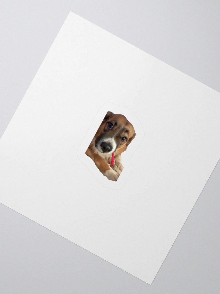 Harry Stickers - Licorice product image (4)