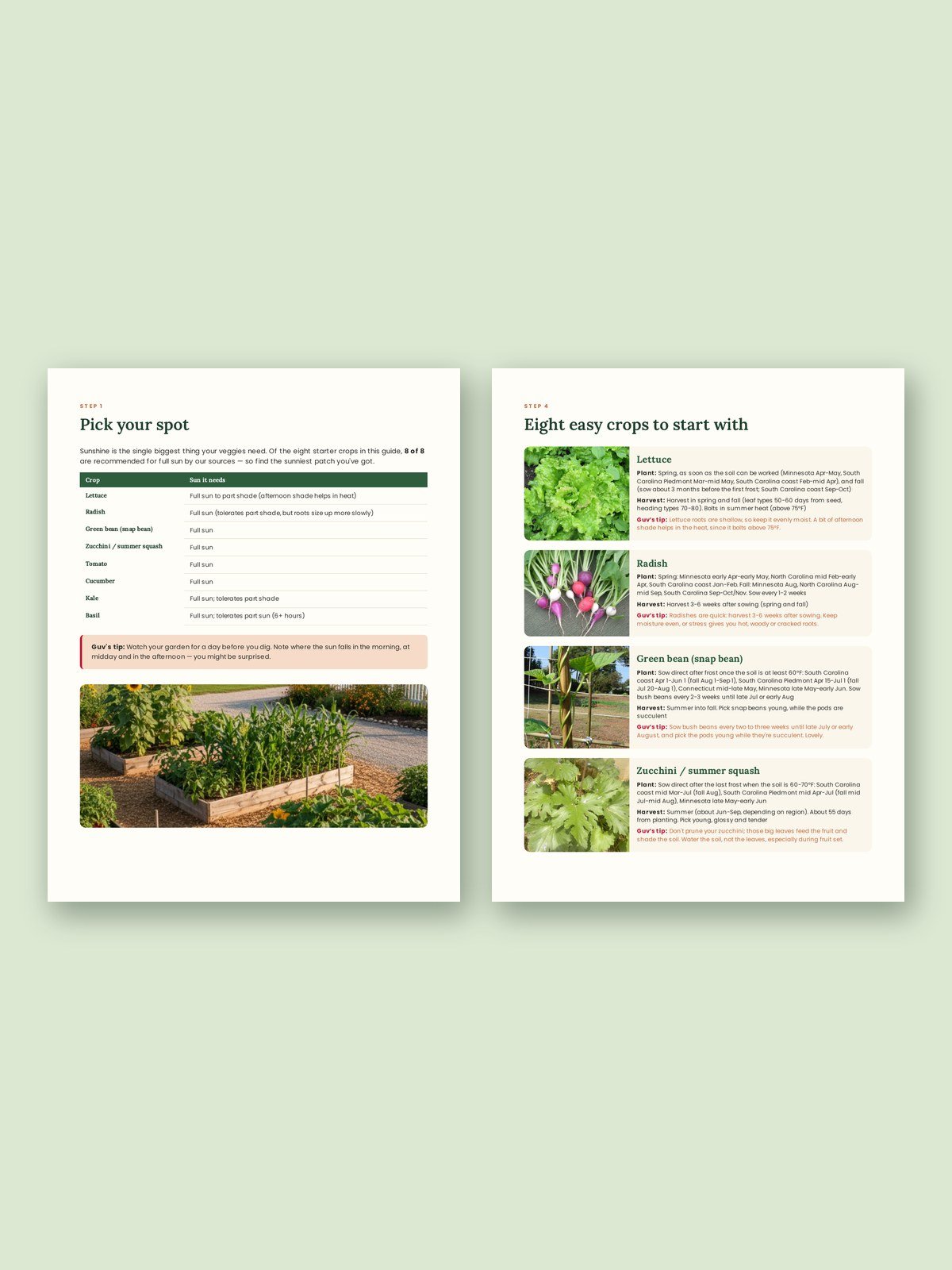 Grow Your First Veggie Patch (USA Edition) product image (2)