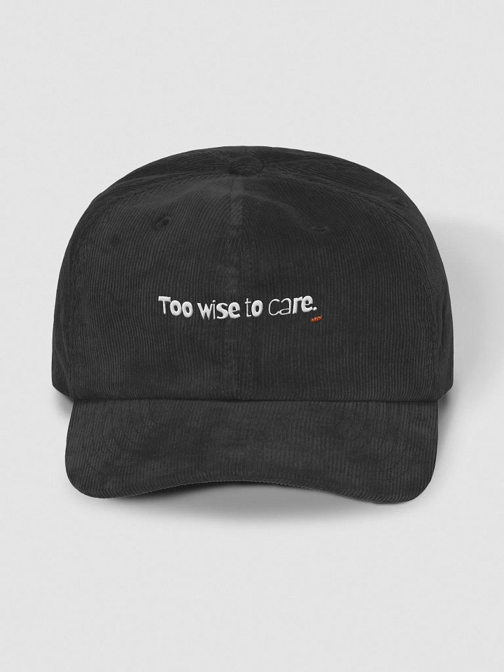 Too Wise to care Embroidered Corduroy Dad Hat product image (2)
