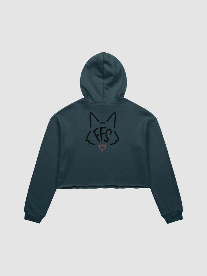 FFS Cropped Hoodie product image (15)
