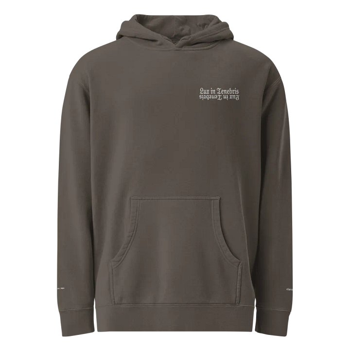 In Light Hoodie product image (1)