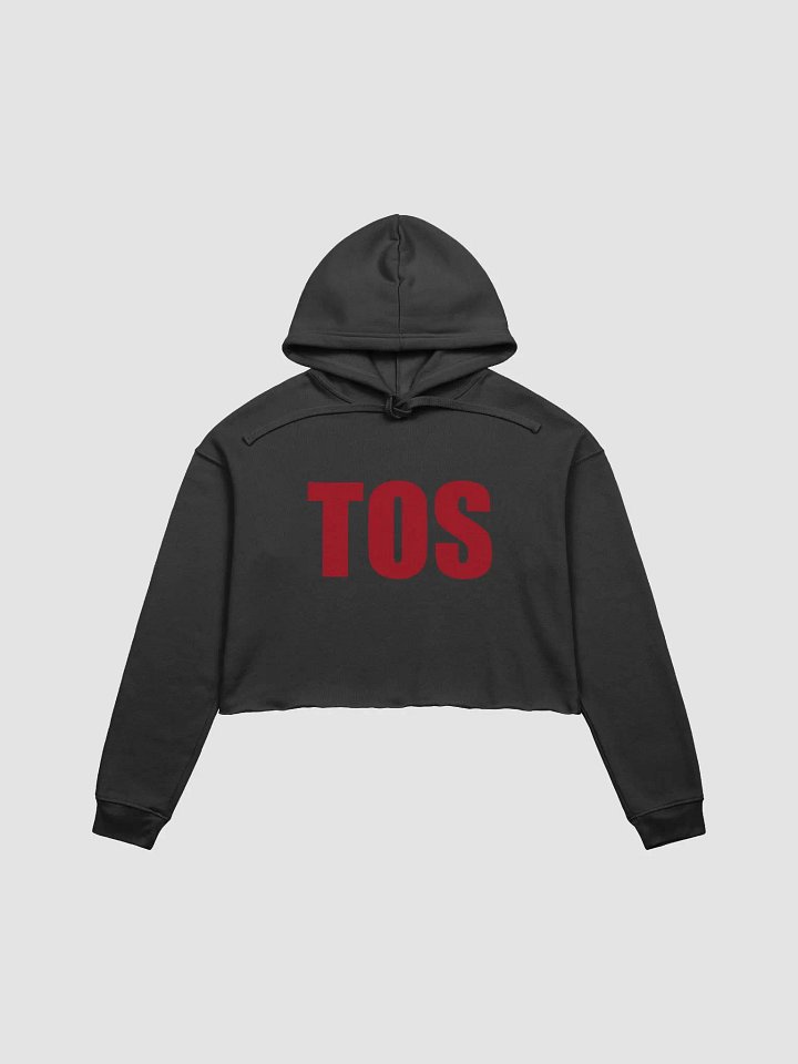 Terms of Service Cropped Hoodie product image (1)