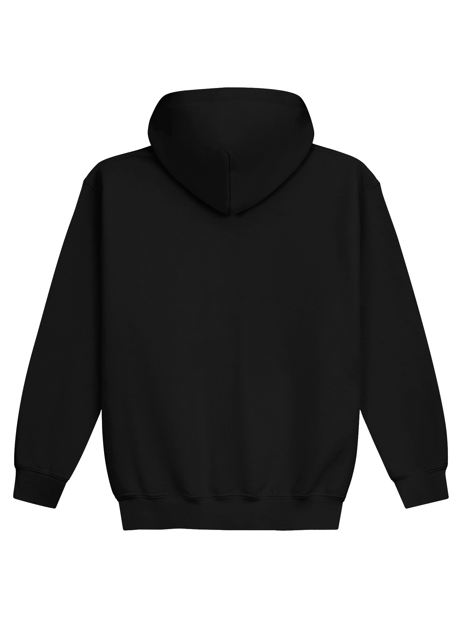 Seattle's Spookiest Raccoon Kids Hoodie product image (2)