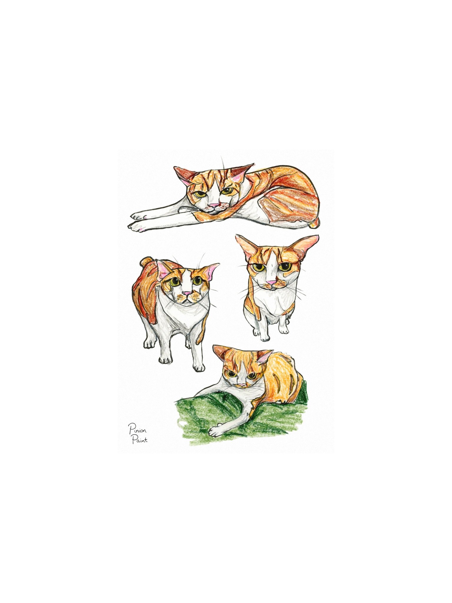 Sproot study print product image (1)