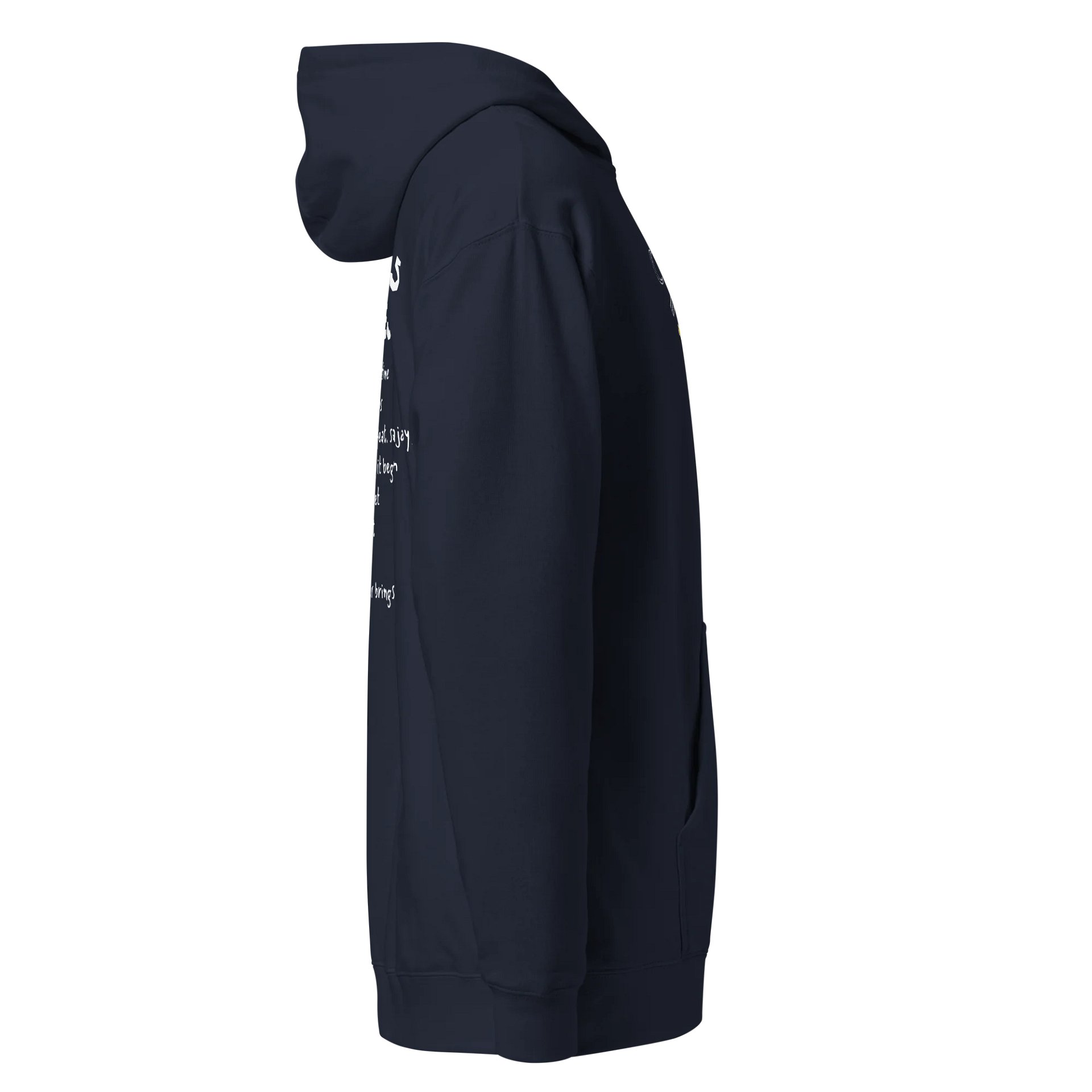 "Satellites & Lies" Hoodie product image (4)