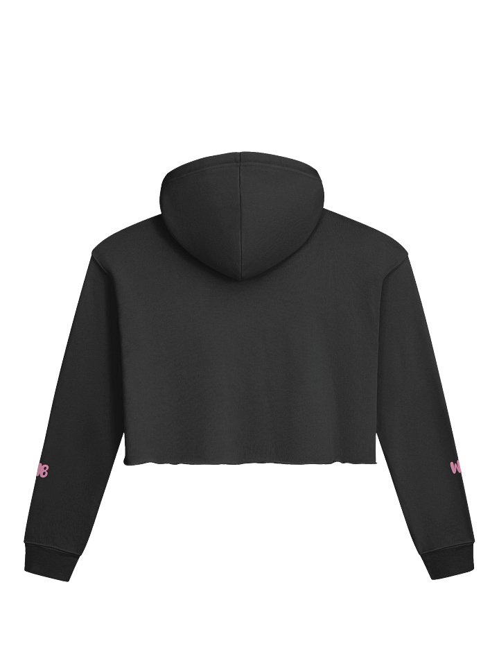Wyatt Brown Band women's cropped hoodie product image (6)