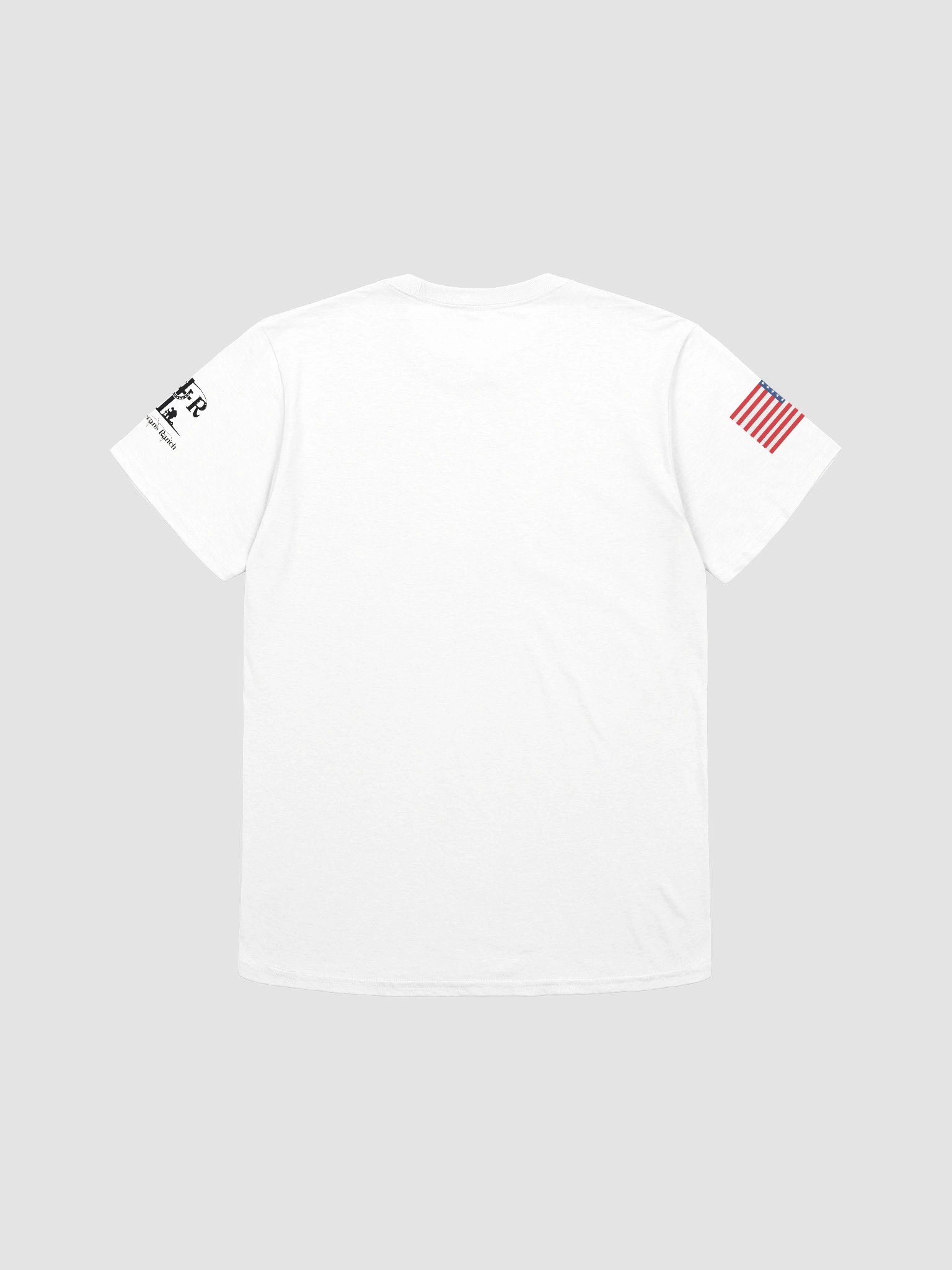 God Bless Texas product image (8)