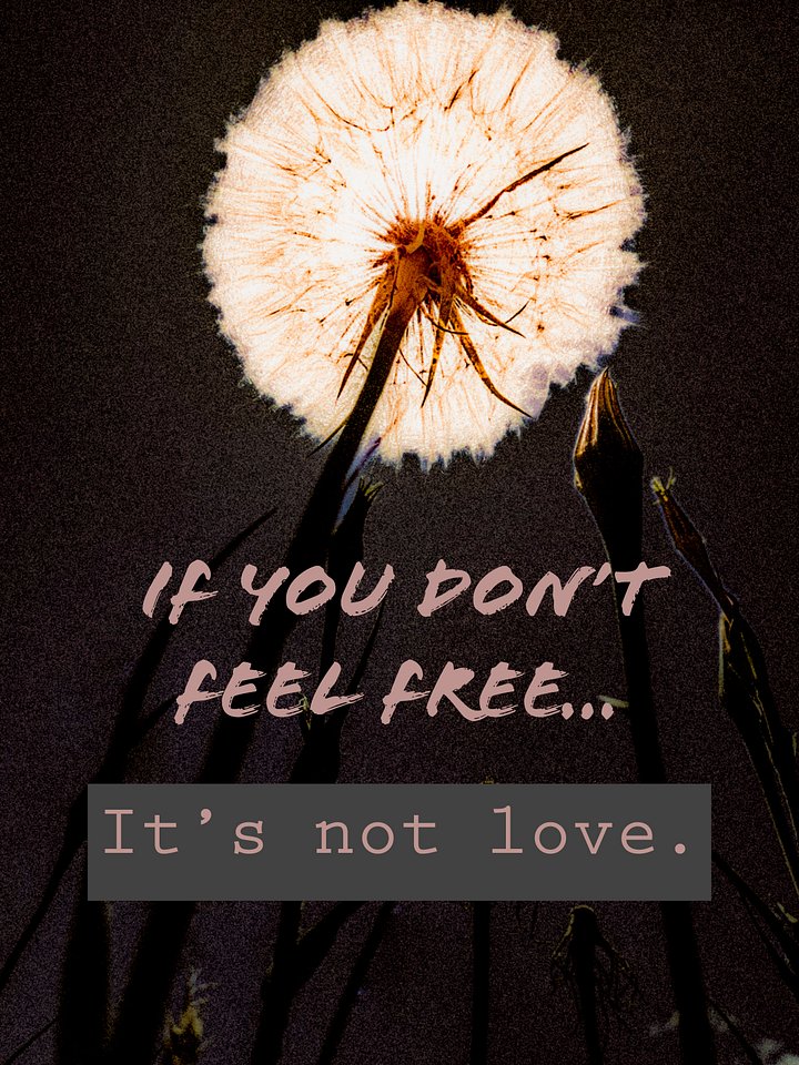 BE FREE. product image (2)