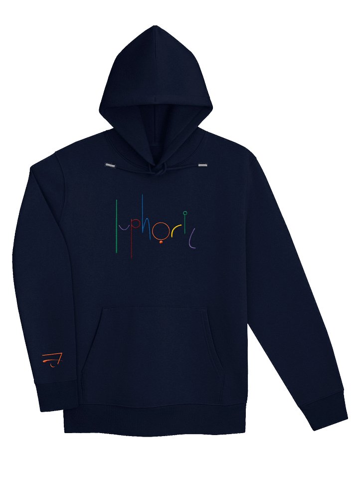 Playground Hoodie | Embroidered | product image (1)