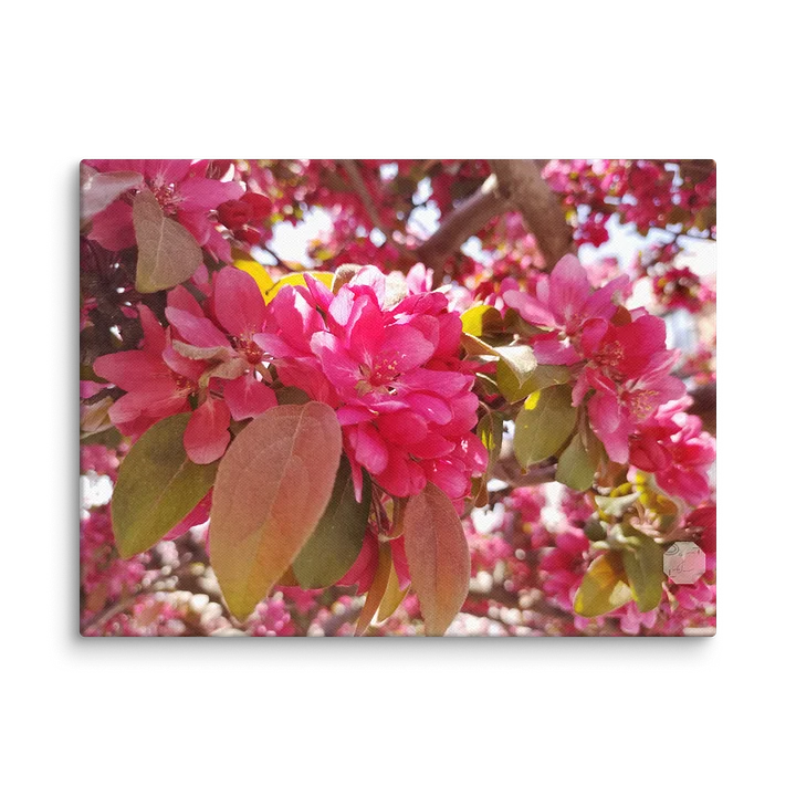 Ethereal Magenta Spring Blossoms – Canvas Fine Art product image (2)