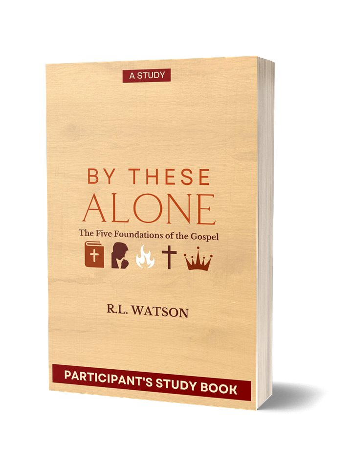 By These Alone: The Five Foundations of the Gospel (Participant's Study Book) product image (1)