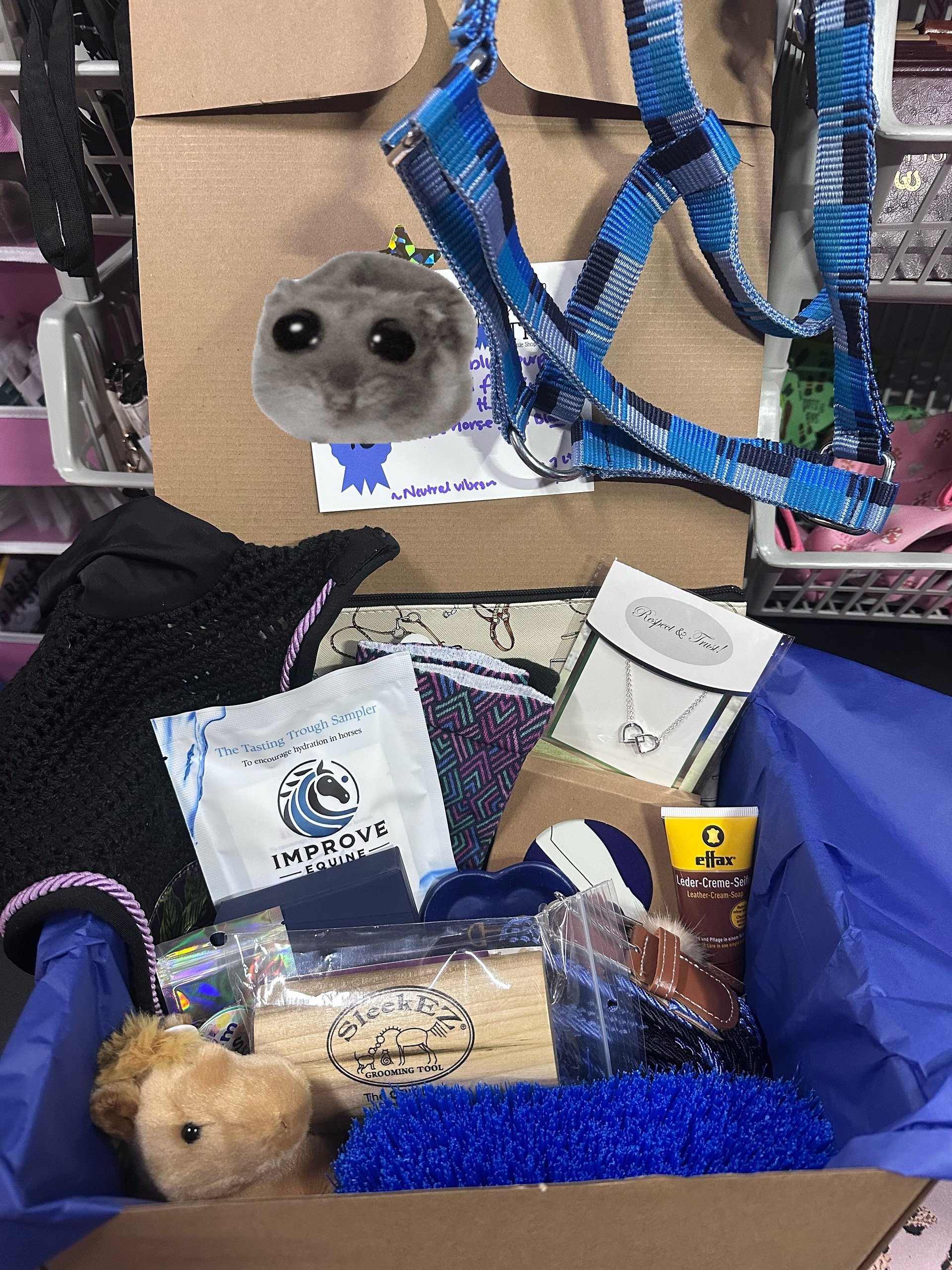 The Spoiled Equestrian Scoops 18 Mystery Pulls product image (3)