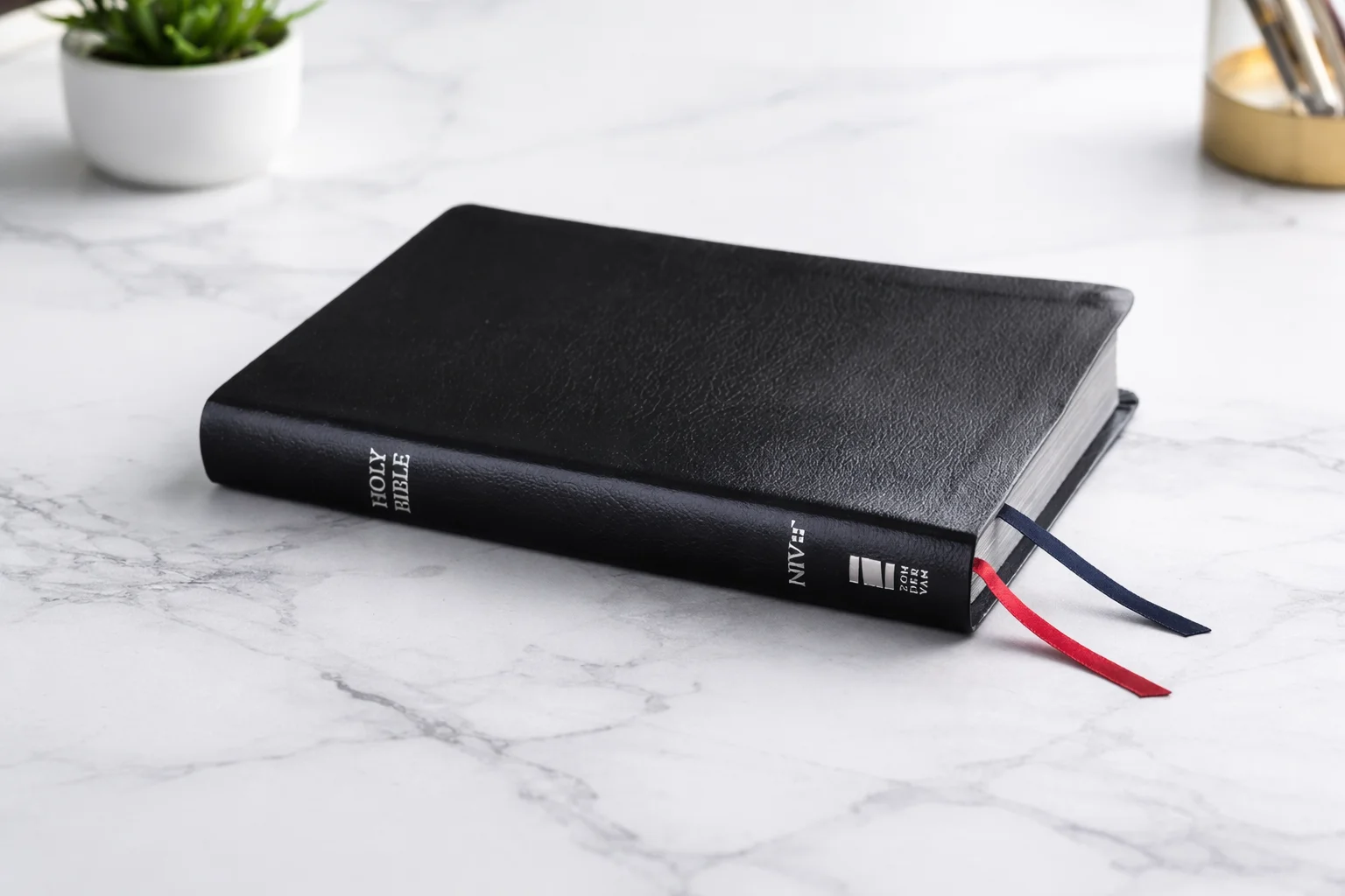 NIV BIBLE product image (1)