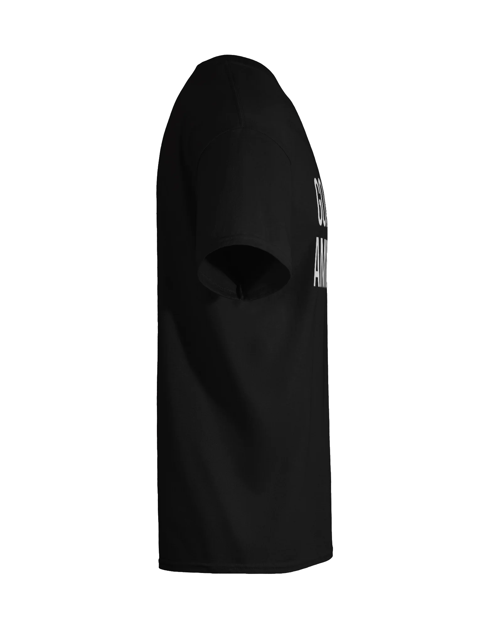 Godless American - Shirt product image (12)