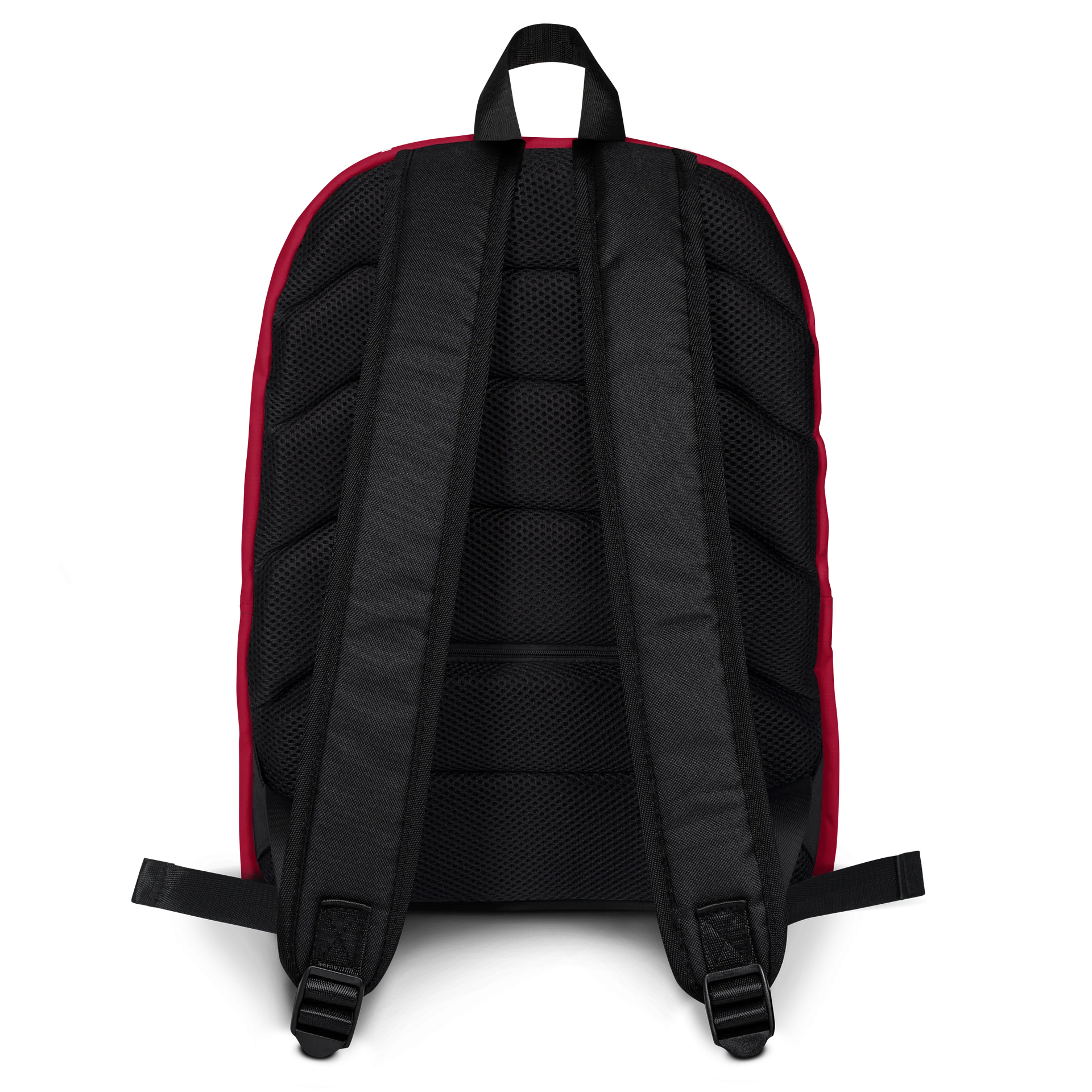 SBP Backpack product image (2)