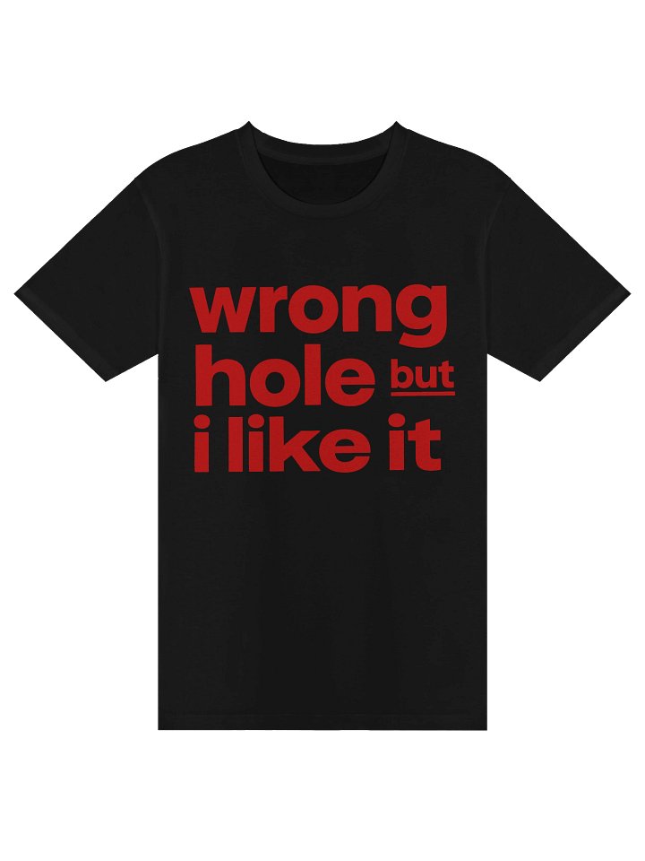 Wrong Hole But I Like It Tee product image (1)