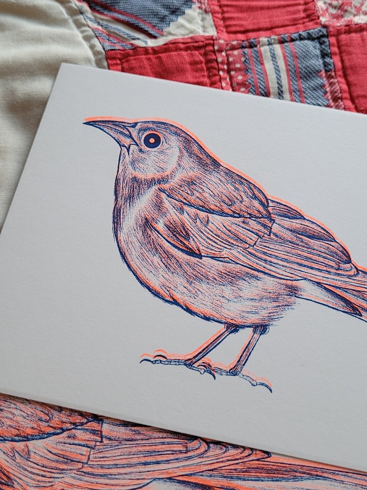 Grackle Riso Print product image (1)