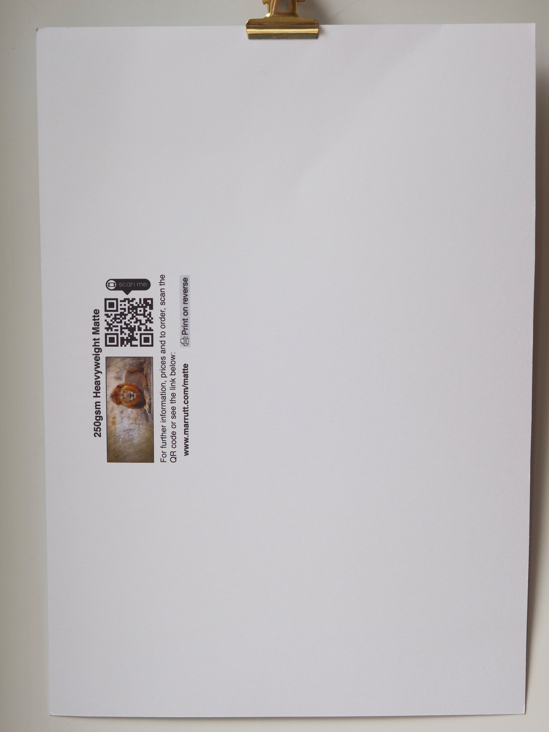 [SECONDS] Waterfall product image (7)