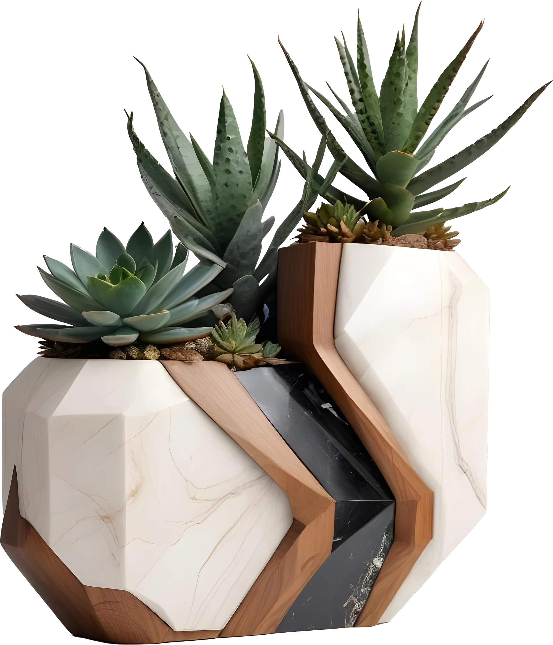 Earthly Symphony – Geometric Succulent Duo Vase PNG product image (1)