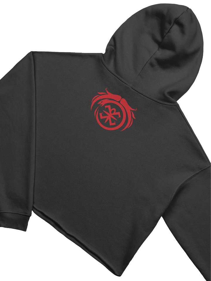 Chaotic Cropped Hoodie product image (6)