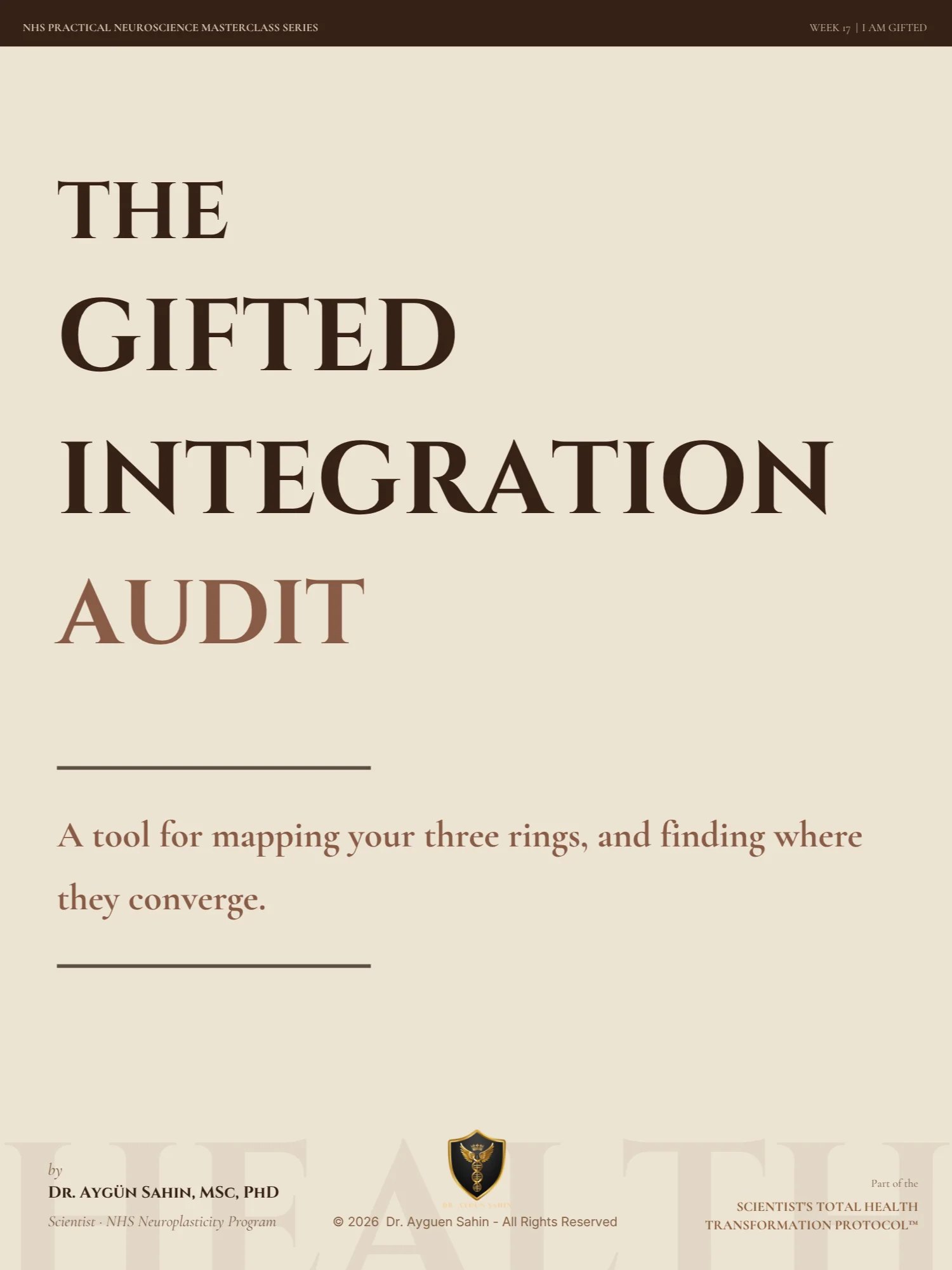 GIFT INTEGRATION AUDIT product image (1)
