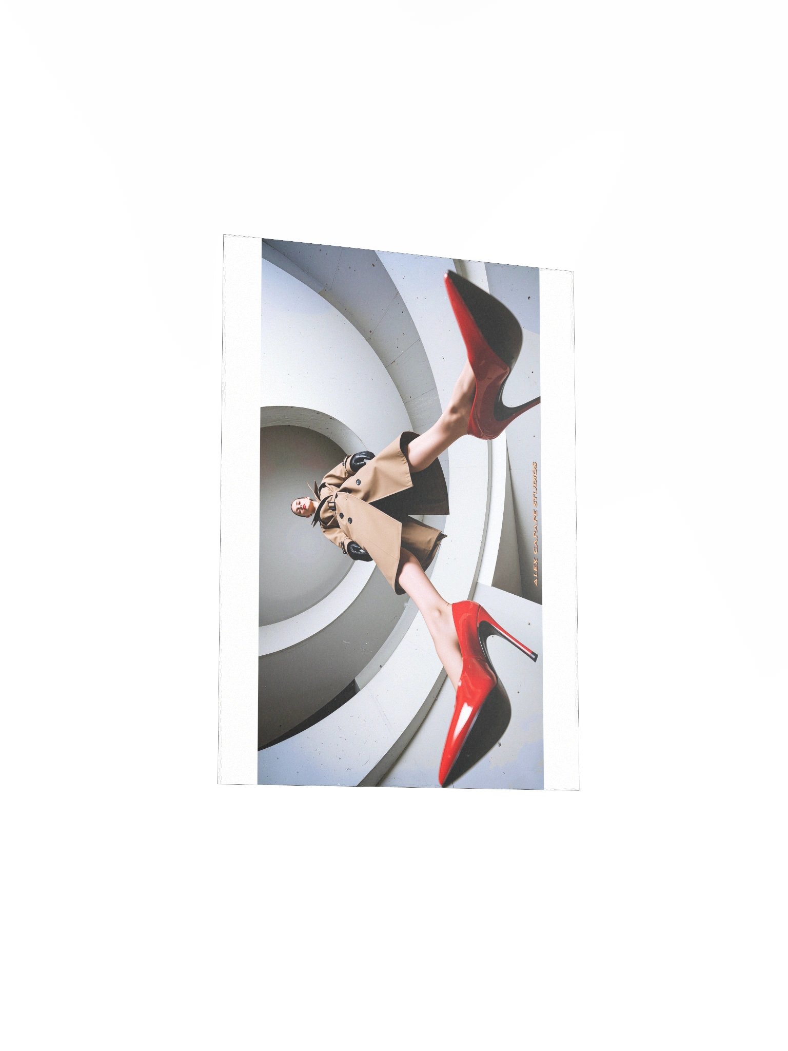 Dorothy III product image (12)
