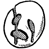 TheRailz | Crying Skeleton