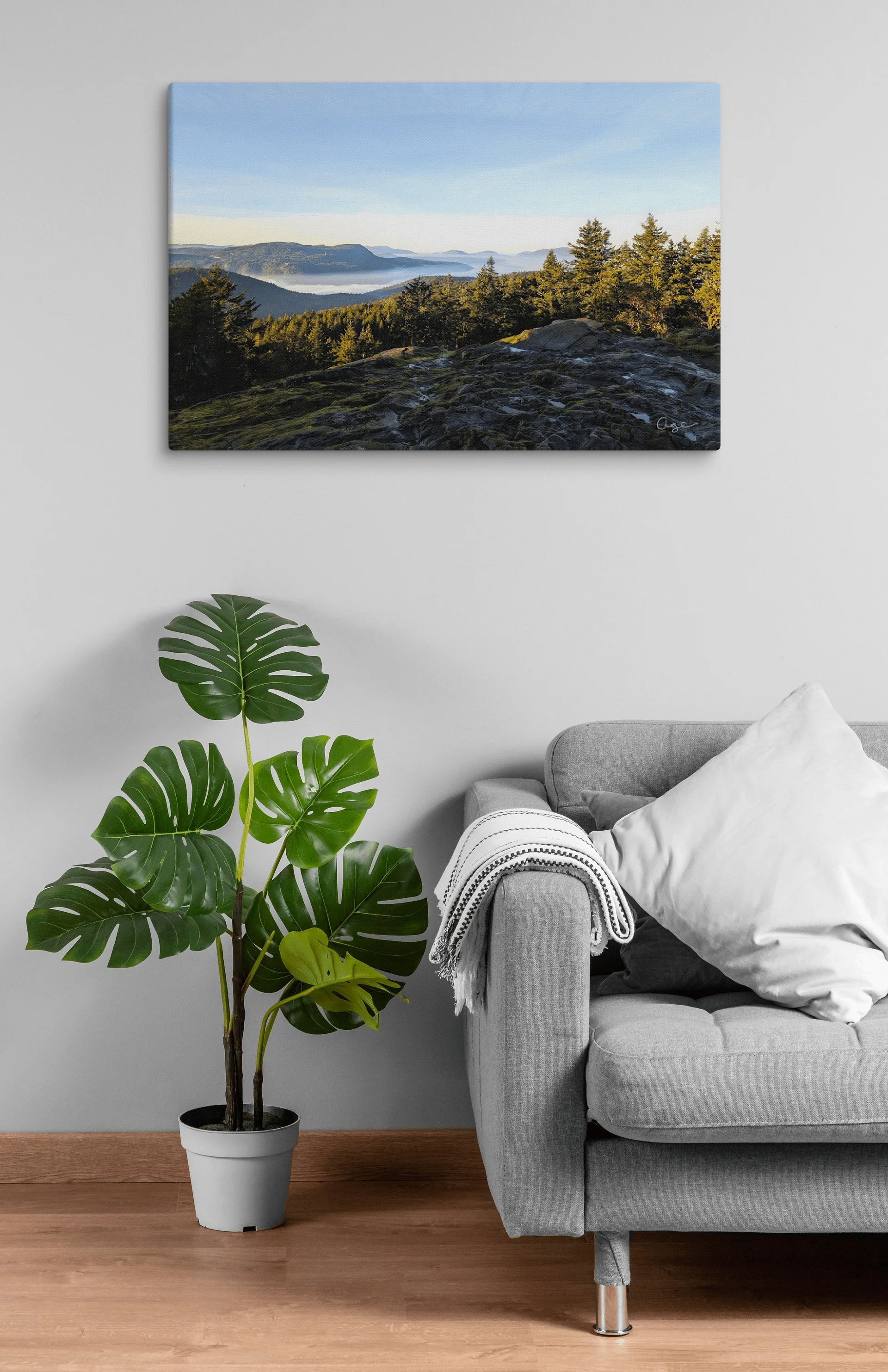 Above the Mist product image (3)