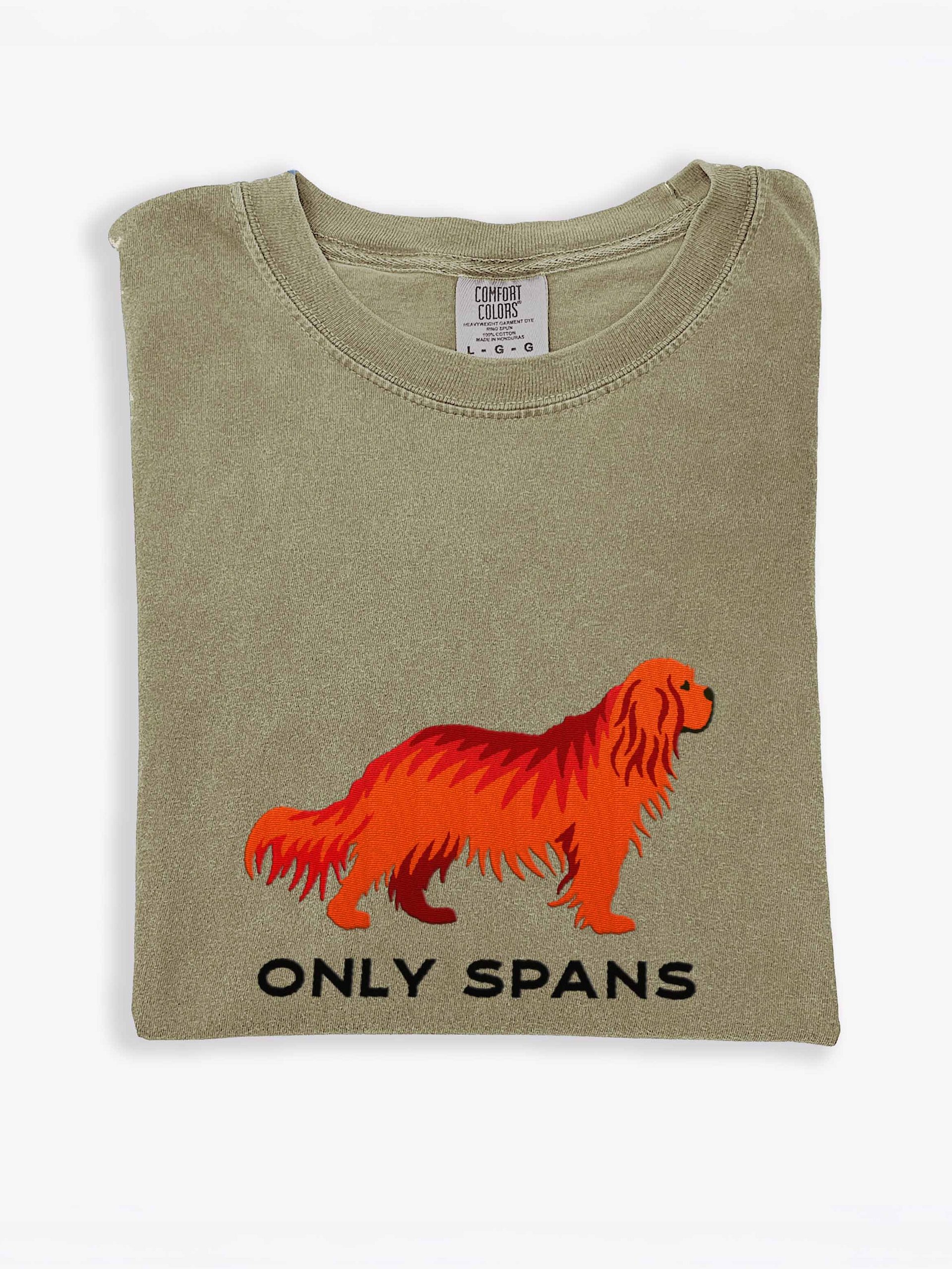 Only Spans T-Shirt(Embroidered) of a Cavalier King Charles Spaniel(Ruby) product image (2)