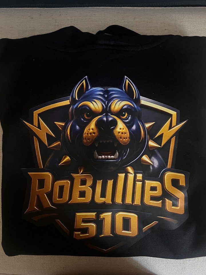 NEW BULLIES TEE product image (1)