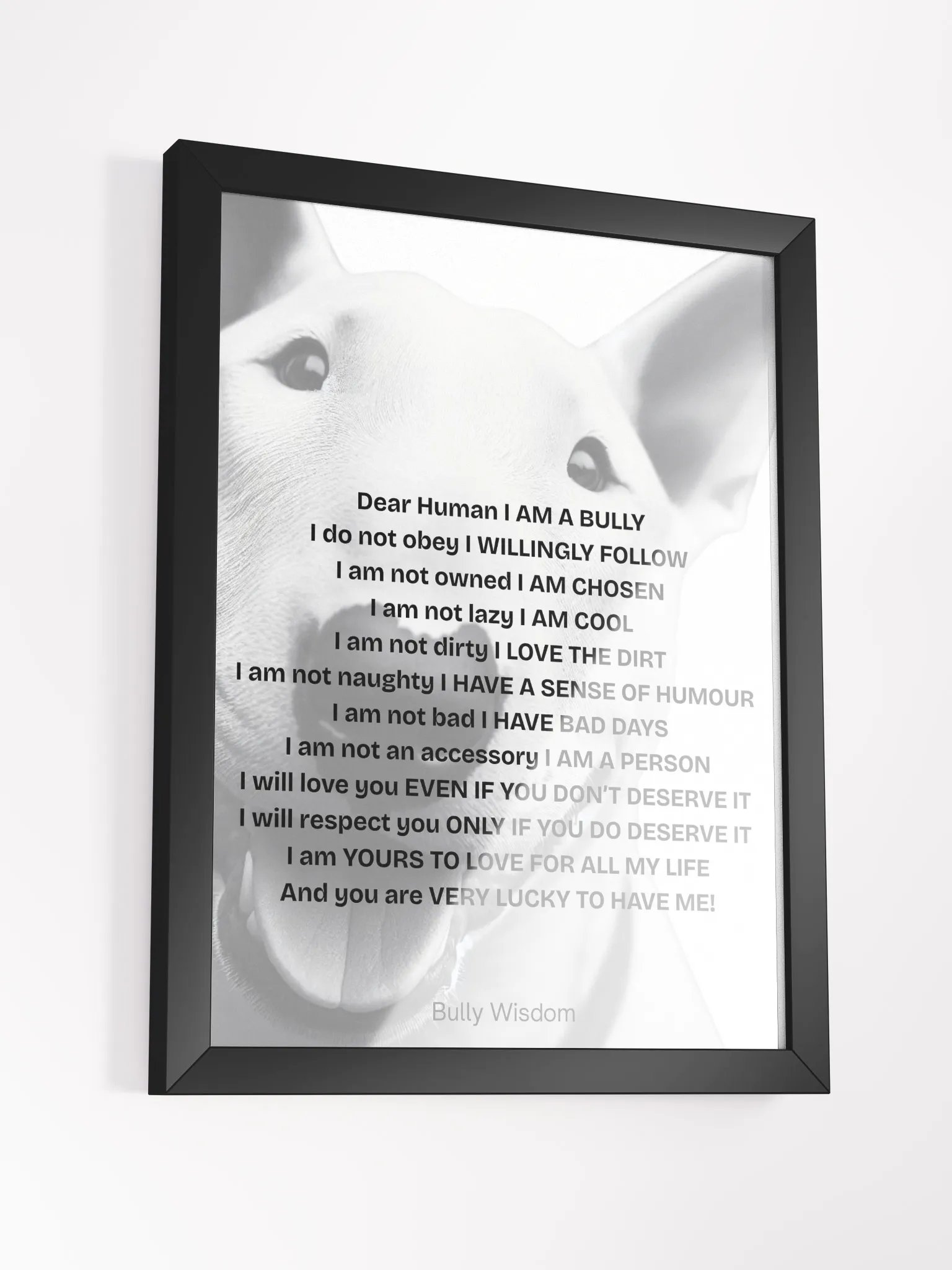 Bull Terrier "Dear Human, I am a Bully" product image (24)