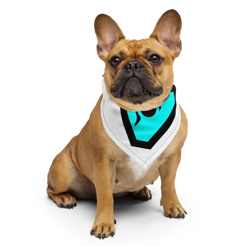SINGULARITY LOGO BANDANA product image (6)