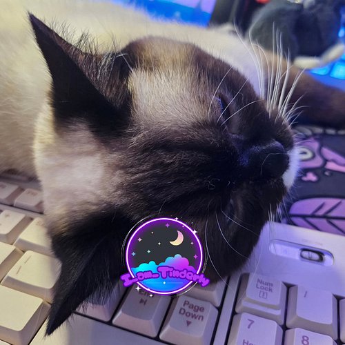 I envy animals. Not really being aware of the broader world around them. I certainly wish I could just lay my head down and n...