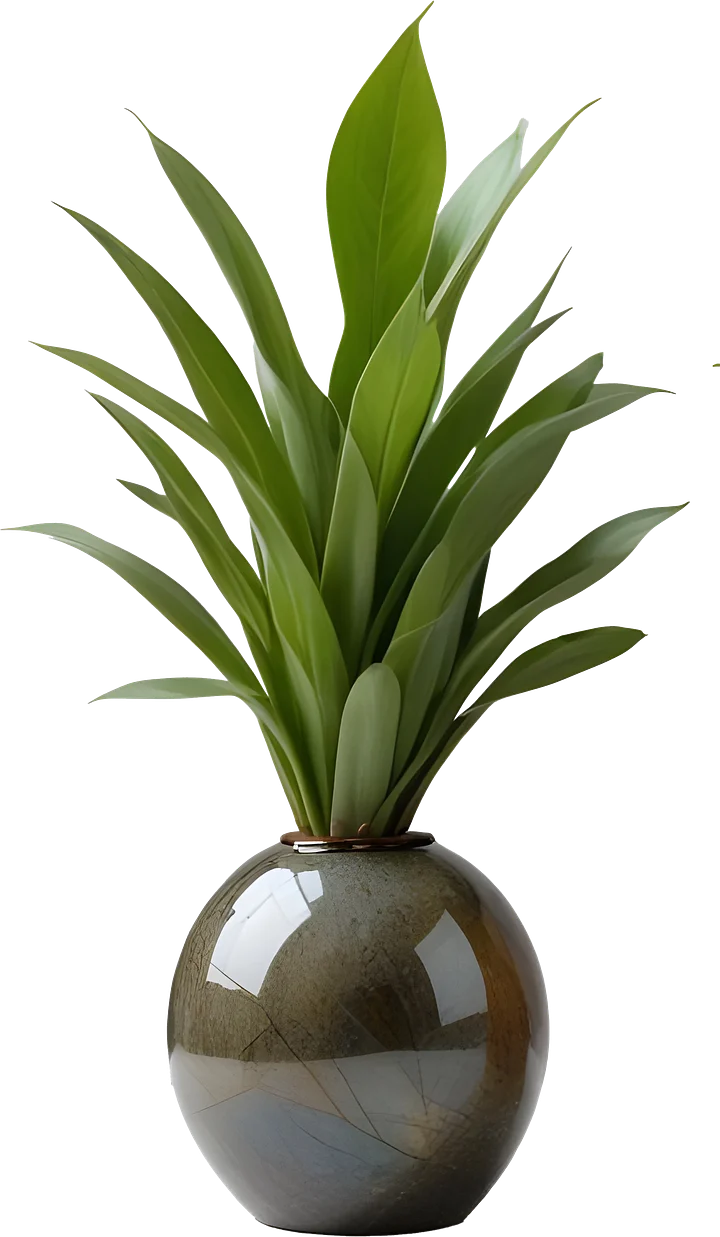 Natural Glow – Handcrafted Boho Vase PNG product image (1)