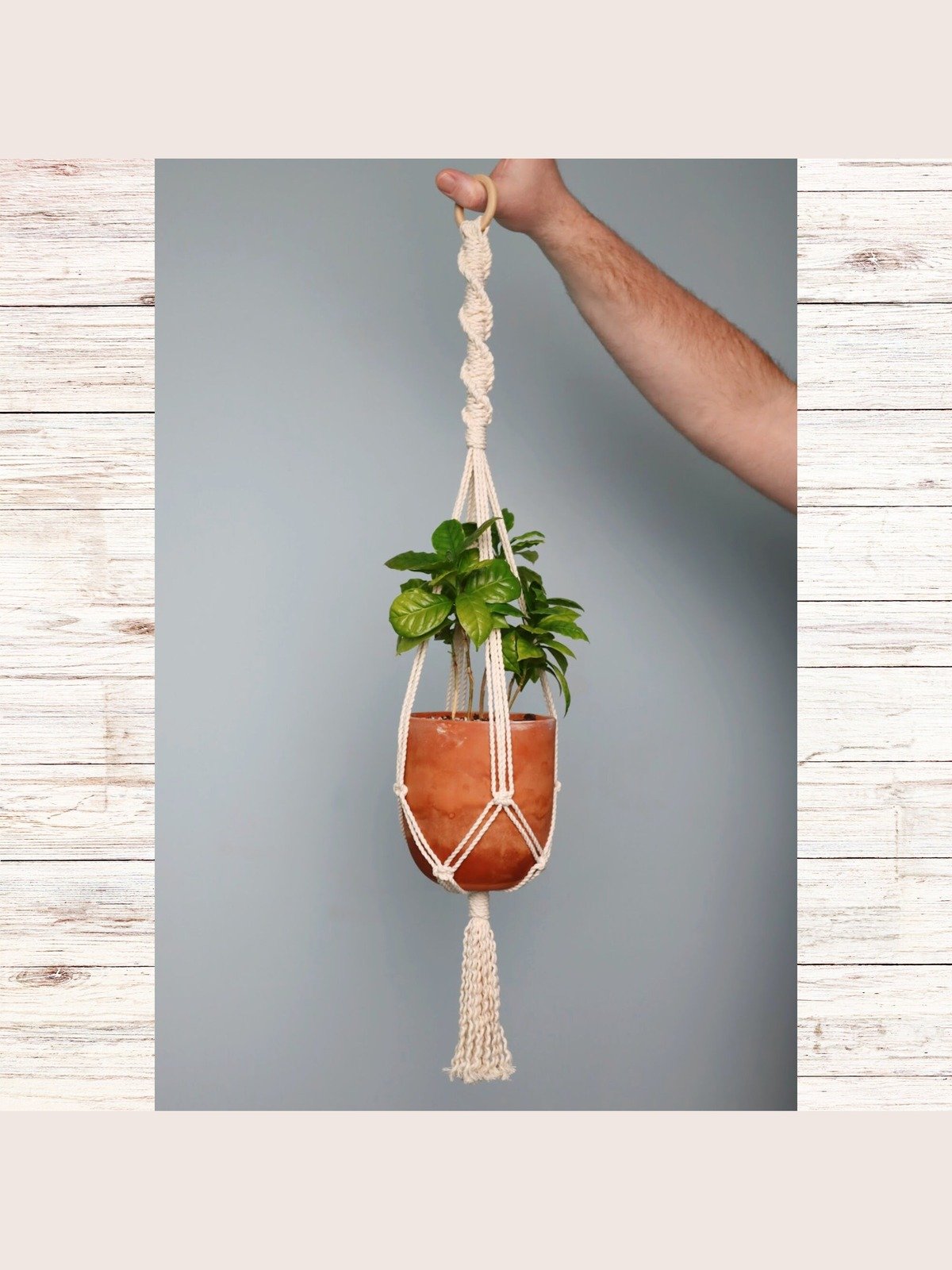 Macrame Plant Hanger Bundle (Digital PDF Patterns) product image (2)