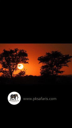 Tour Highlights 8-11 April 2026 with Hennie Bekker 

#privateguidedsafari #krugernationalpark #privatetours #wildlifetour #wi...