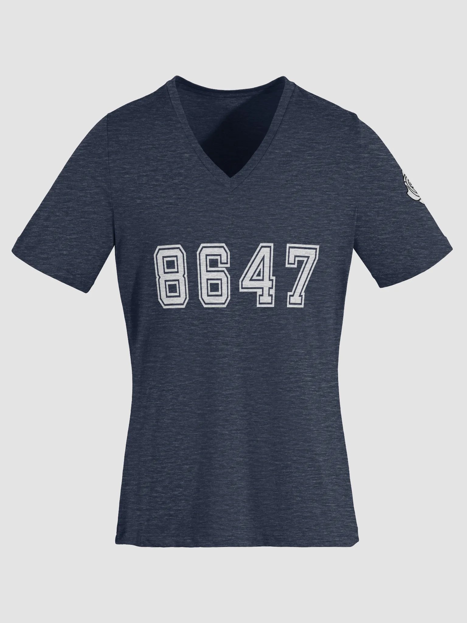 8647 College Relaxed V-Neck T-Shirt A product image (4)