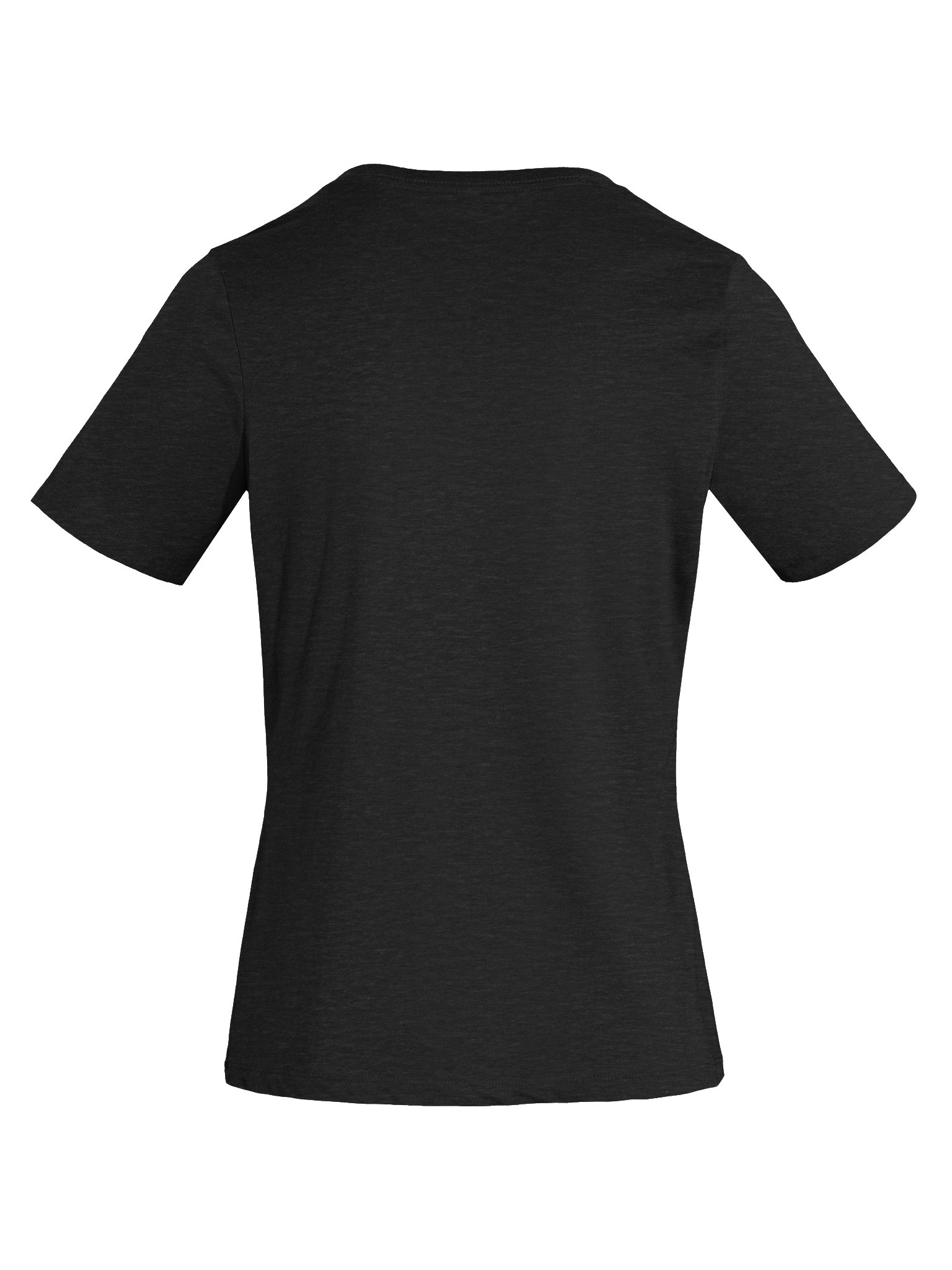 Obviously Gay V-Neck product image (15)